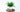 Florist Tips: How to care for houseplants