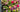 The flowers behind the anniversary milestones