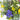 Easter Posy Gift Set