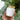 Eucalyptus Gift Set
