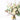 Snow White Showstopper Gift Set