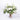 Winter White Vase